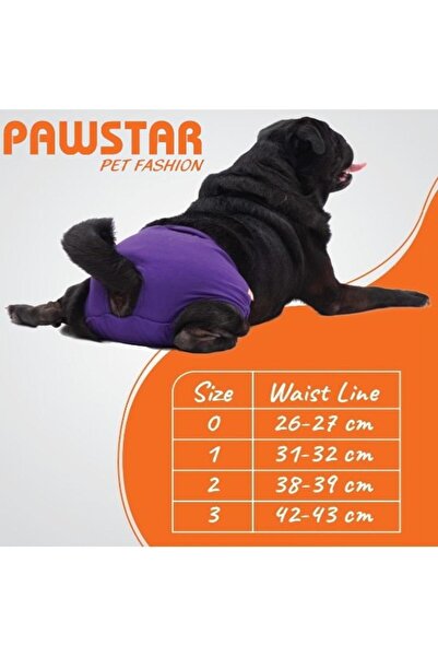 Pawstar Mor Kedi-köpek Çamaşırı Regl Kilodu Kedi Köpek Kıyafeti