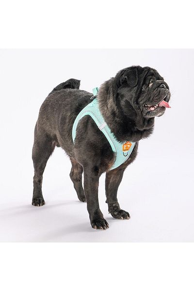 Pawstar Mint Air-mesh Chest Collar Cat Dog Chest Collar