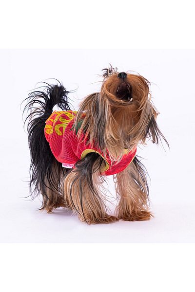 Pawstar Pineapple Mesh Cat Dog T-Shirt - Cat Dog Outfit