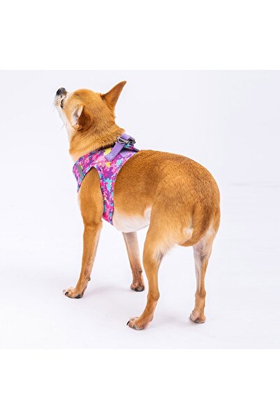 Pawstar Rosea Camouflage Air-mesh Köpek Göğüs Tasması
