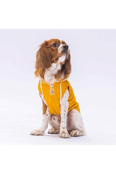 Pawstar Yellow Gingham Cat Dog Hooded T-Shirt - Outfit
