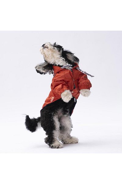 Pawstar Orange Pluvia Cat Dog Coat Cat Dog Outfit