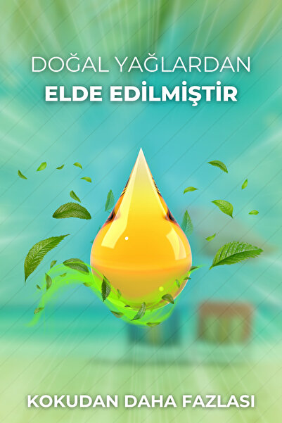 AURAN Yaz Seti Esansiyel Uçucu Yağ Buhurdanlık Yağı Hava Nemlendirici Aroma Difüzörü Kokusu Esans 6x