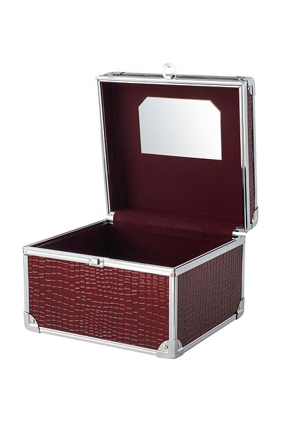 Bianca Bella Metal Accessories and Makeup Bag Claret Red Br-80741