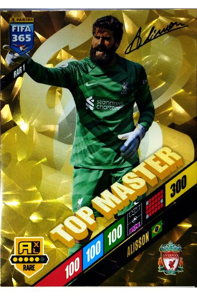 Panini Alisson Top Master