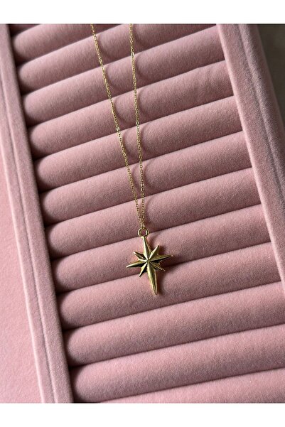 MİOSAPRİVE 14K Altın Kaplama Kuzey Yıldızı Çelik Kolye