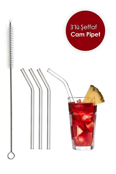 isometric Şeffaf 3'lü Cam Eğimli Pipet- 1 Adet Pipet Temizleme Fırçası