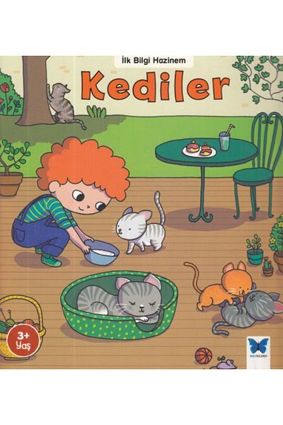 Nan Kitap Cats Blue Butterfly Publications Book