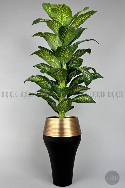 BİÇİÇEK 190 cm difenbahya bitkisi Cleopatra saksıda siyah gold