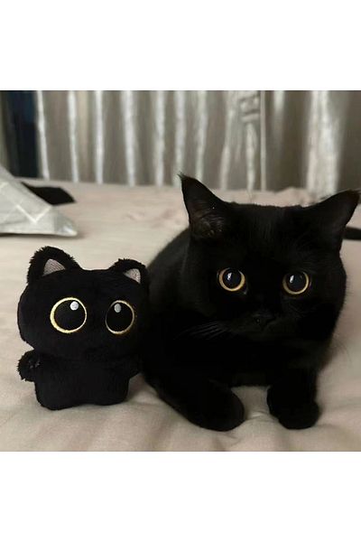 Choice 10cm Cute Black Cat plush toy Doll Small Pendant Cuddly Pillow Cushion Ins Black Cat Plush Toy Do...