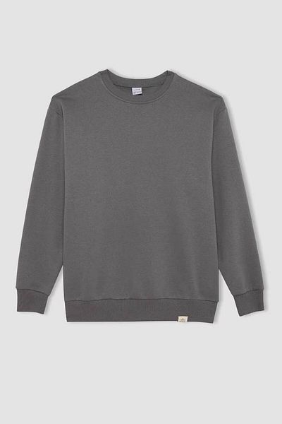 DeFacto Übergroßes, gerades, dickes Basic-Sweatshirt mit Rundhalsausschnitt T5139az24au