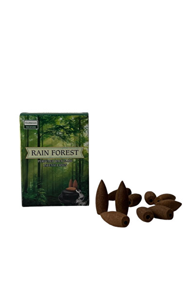 Morey Darshan Rain Forest Geri Akış Tütsü 1 Paket 10 Geri Akış Tütsü