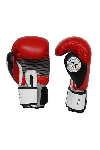 Dragondo Gifttoom Muay Thai Athlete Set with Bag - Boxing, Dragon Iffma Leather Boxing Gloves and Equipment