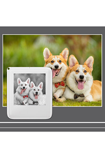 Choice NFC Function Memory Keyring 1.54-inch Three Color Display Screen Image Wireless Transmission Keyc...