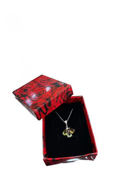 inteleven 24 Adet Kırmızı Gül Desenli Karton Takı Kolye Içi Süngerli Mini Set...