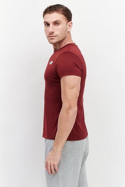 New Balance Men Sportswear Fit Short Sleeves Training T-shirt, Maroon