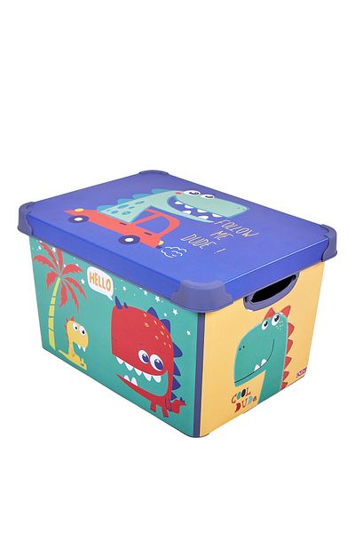 QUTU Style Box Dude Patterned 17 L Decorative Storage Box