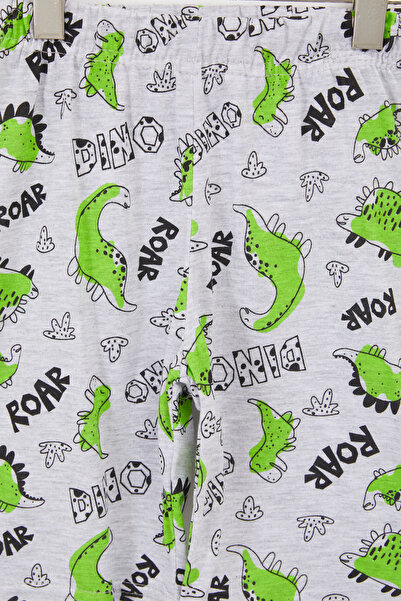 Cansın Mini Boy's Gray Dinosaur Printed Capri 17668 - 5022
