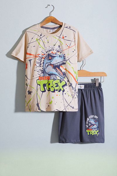 Cansın Mini Boy's Smoked T-rex Printed Shorts Set - Text 18710