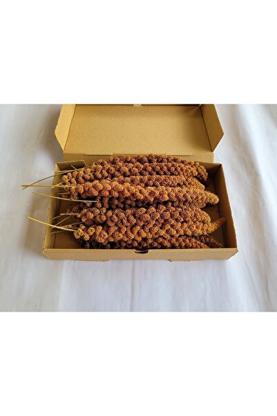 özata kızıl dal darı Kızıl Daldarı Yerli Üretim 200gr. 2025 Ağustos Hasatı Dal Darı