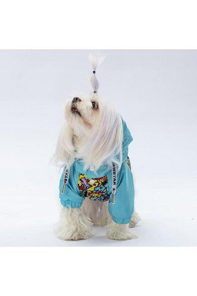 Pawstar Hollywood Dog Coat Dog Raincoat Dog Outfit Dog Dress