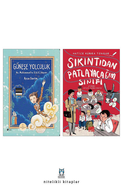 Şule Yayınları Güneşe Yolculuk - Sıkıntıdan Patlayacağım Sınıfı / Hatice Kübr...