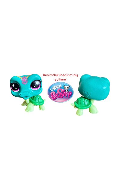 tmtoysandmore littlest pets shop lps Nadir kaplumbağa miniş oyuncak minişler