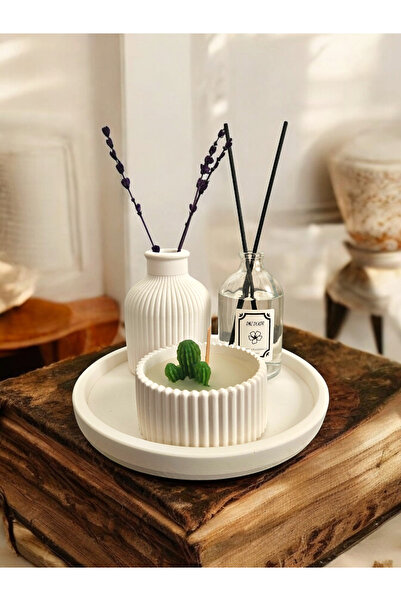 DNZ DEKOR Kaktüs Figürlü Mum + Çizgili Vazo + Fresh Oda Kokusu + Yuvarlak Tab...