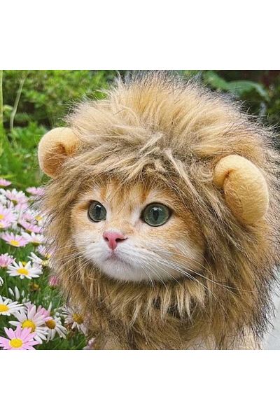 Choice New Cute Funny Pets Clothes Cap Cute Cat Wig Lion Mane Costume Cosplay Kitten Dog Hat with Ears F...