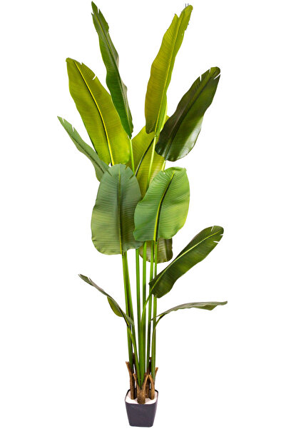 Herdekora Yapay Starliçe Ağacı Gerçek Dokunuş 12 Yaprak Yeşil 210 Cm.