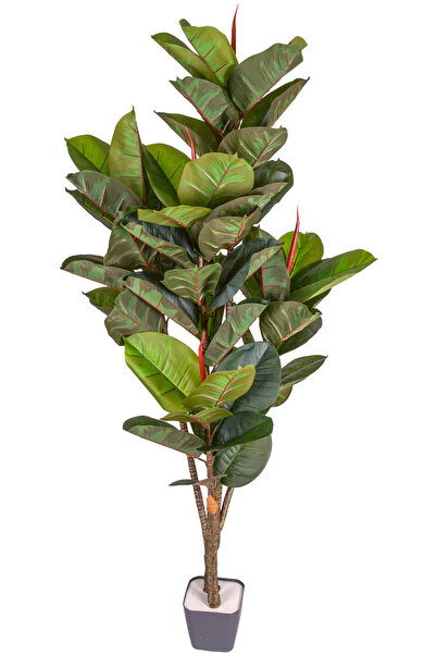 Herdekora Yapay Kauçuk Ağacı Gerçek Dokulu 57 Yaprak Yeşil 150 Cm.