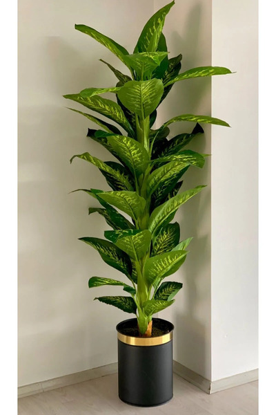 Artificial Tree Difenbahya Tropical Hall Plant 170cm