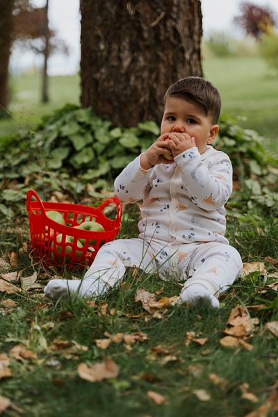 molica baby Unisex Printed Crew Neck Organic Cotton 2-Piece Baby Jumpsuit