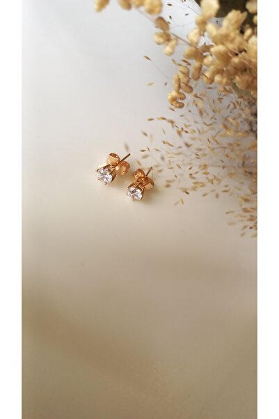 Tişt Accessory Xupıng Lüxs Kadın Kararmaz 5mm Zirkon Taşlı Pırlanta Montürlü Top Model 1 Çift Çelik Küpe