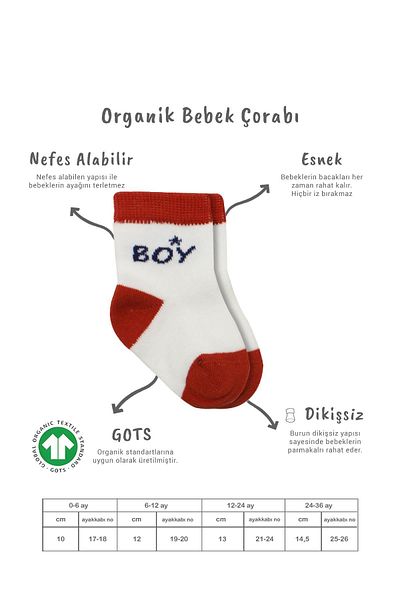 Bistyle Organic Seamless Combed Cotton Socks for 0-3 Months Baby - Set of 3