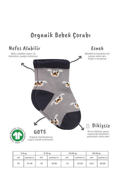 Bistyle Organic Seamless 2-Piece Love Dog Combed Cotton Socks Set for Baby and Child