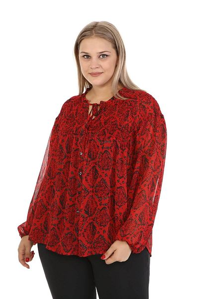 MYLİNE Gipe Detailed Chiffon Blouse