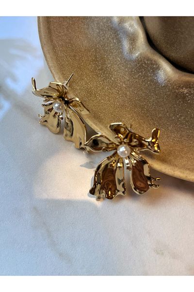 Miltonia Flower Steel Earrings