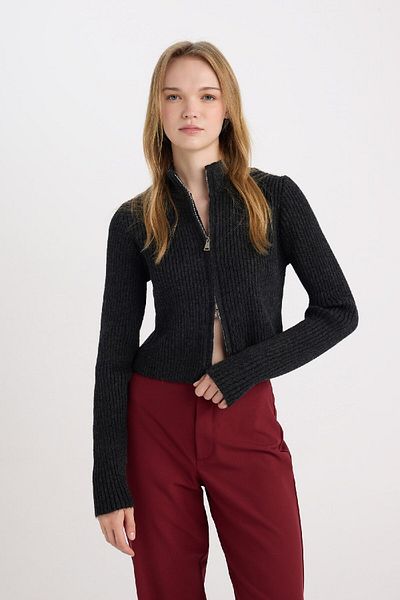 DeFacto Slim Fit Slim Fit Half Turtleneck Knitwear Cardigan A5607Ax24Wn