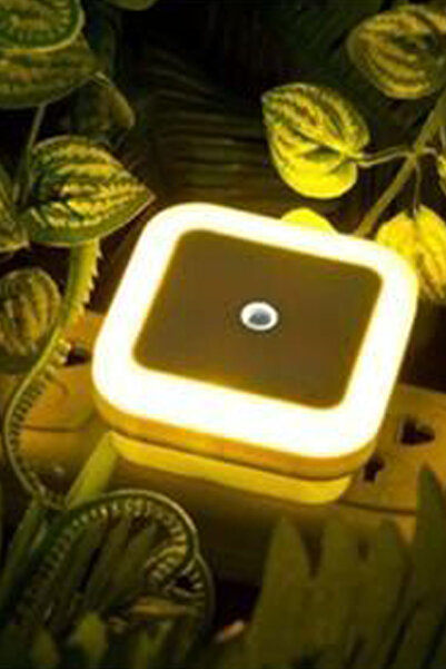 tusah Sensörlü Gece Lambası 892