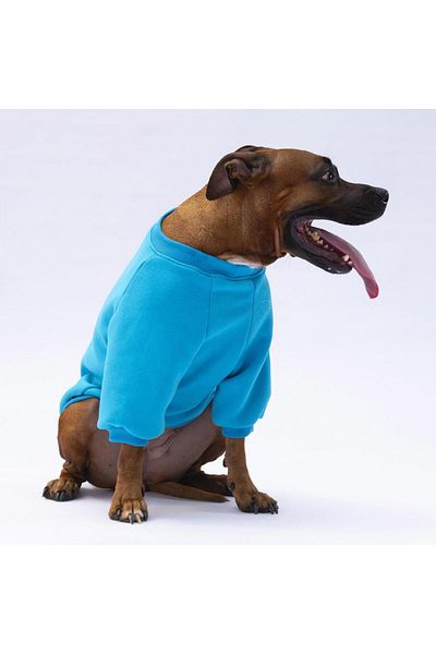 Pawstar Turquoise Carmel Big Breed Dog Sweat-Dog Outfit