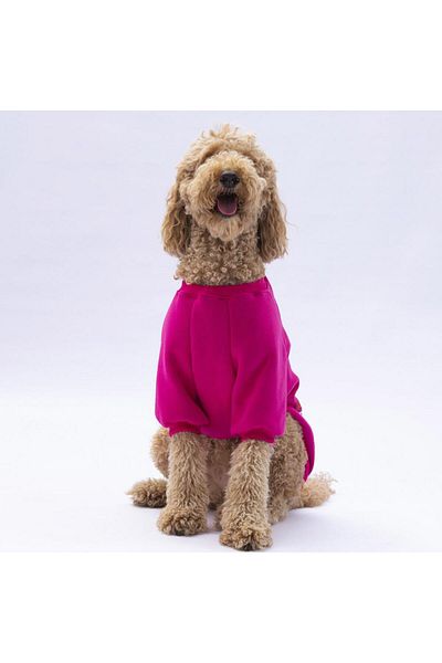 Pawstar Pink Carmel Big Breed Dog Sweat-Dog Outfit
