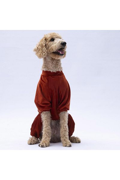 Pawstar Tile Angers Big Breed Dog Jumpsuit-Dog Outfit
