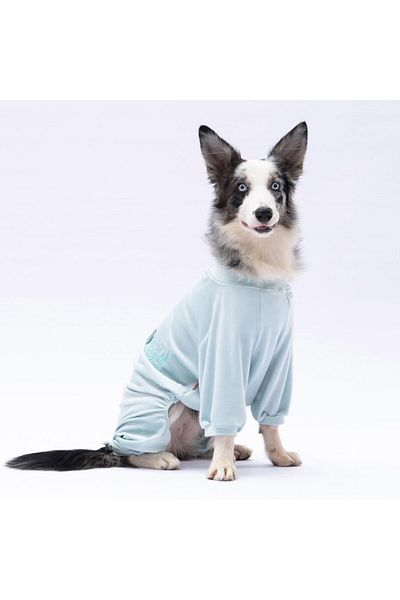 Pawstar Mint Angers Big Breed Dog Jumpsuit-Dog Outfit