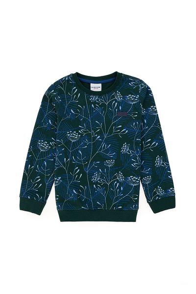 U.S. Polo Assn. Boy's Dark Green Crew Neck Sweatshirt 50290636 -Vr079