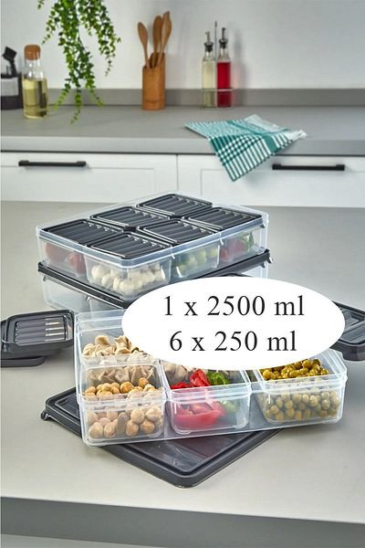 KRM HOME Set of 7 Freezer, Pulses, Food Container-Picnic, Microwave Storage Container 1X2500 Ml-6X250 ml