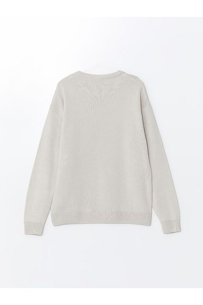 LC Waikiki Herren-Strickpullover mit Rundhalsausschnitt und langen Ärmeln – W43361z8
