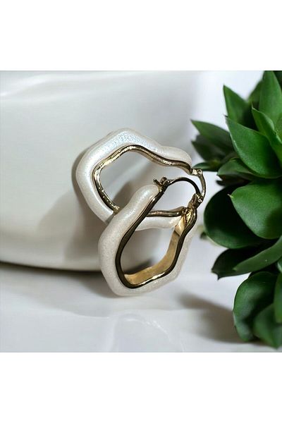 Store Steel Earrings