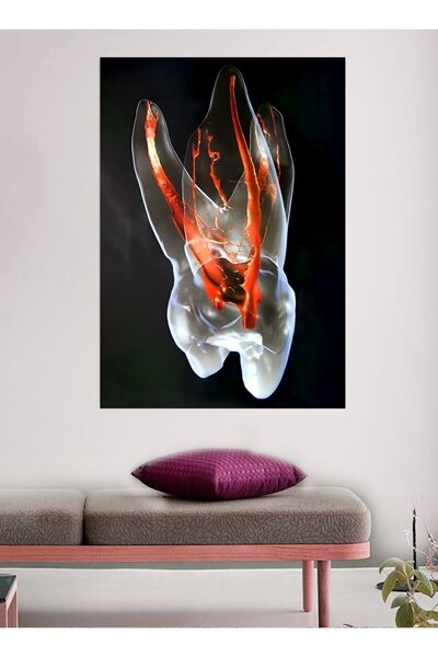 Limitless Design Originalni dizajn zubnog nervnog sistema, zub, stomatolog, o...