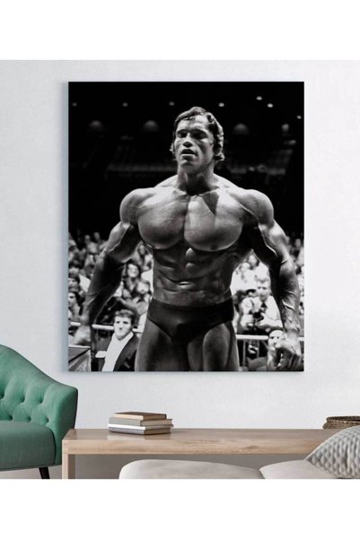 GülsenArt Arnold Schwarzenegger Vücut Geliştirme Motivasyon Tablo HD Dijital ...